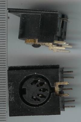 DIN-GM-545-4 - pětikolík  samice do pl.sp.