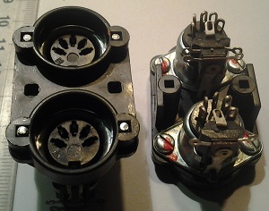 samice pětikolík, dvojice