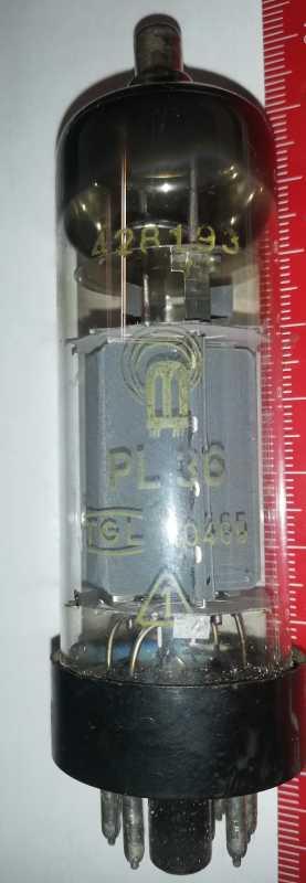 Elektronka PL36 TGL