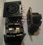 samice pětikolík do pl. sp.